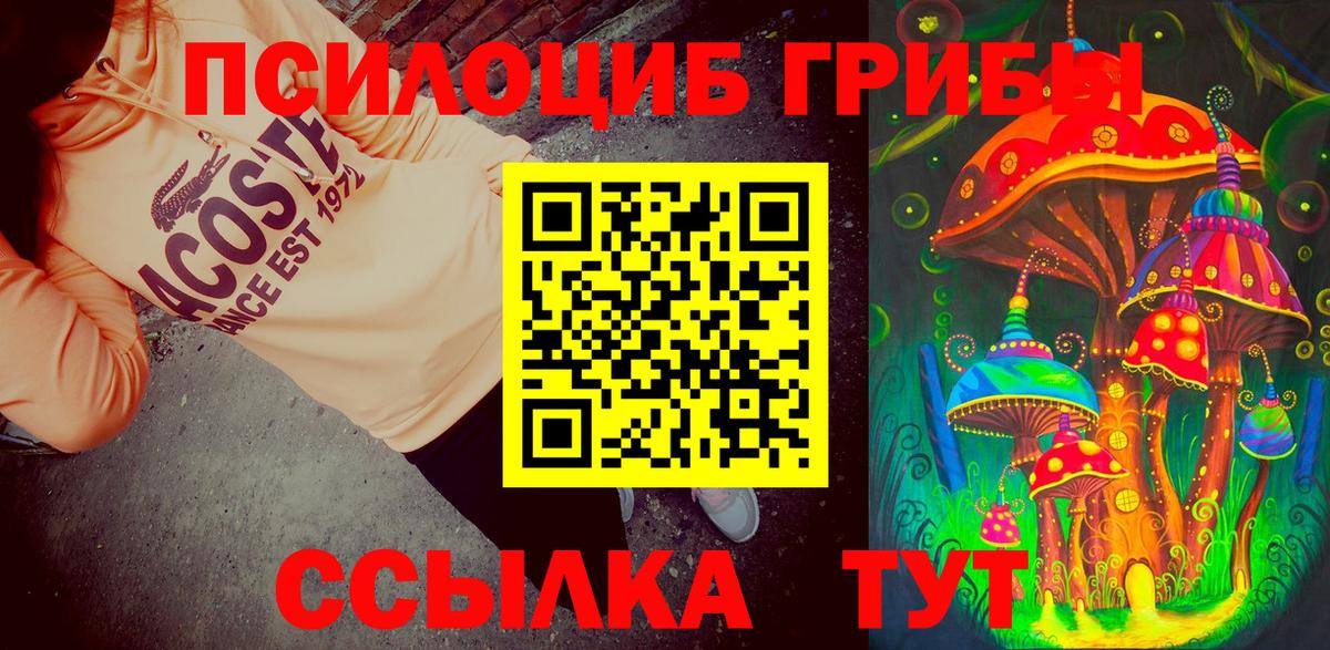 Галлюциногенные грибы Magic Shrooms  Вход с VPN  где можно купить наркотик  Аргун  Галлюциногенные грибы мицелий 